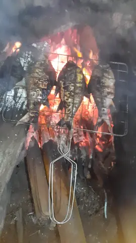 Bakar² gays 😁 @sorotan #semuaorang #fyp #reels #tabolabale 