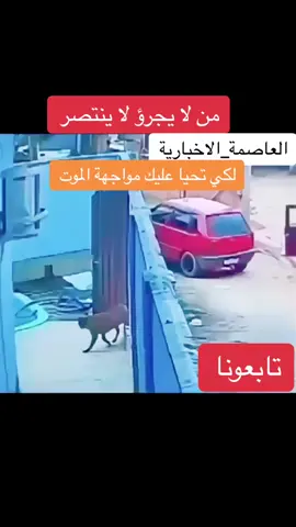 #الشعب_الصيني_ماله_حل #العاصمة_الاخبارية #PioresSituaçõesSemArCondicionado #الكويت🇰🇼 #السعودية #مصر🇪🇬 #foryoupage #comfortsegredos  الشجاعة تجعل المستحيل ممكنا 