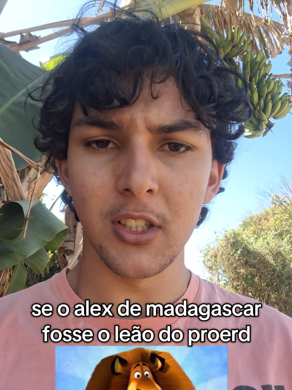 se o alex fosse o leão do proerd