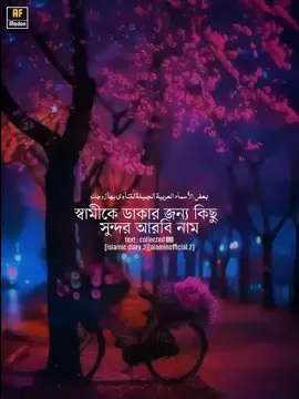 মিসকিনরা সাড়া দেও🌚!! #islamic_diary3 #alaminofficial2 #AF_modon #allah 