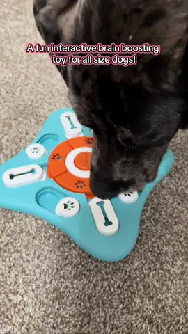 #tiktokshopcreatorpicks #dogsoftiktok #dogtoy #doglover #dogmom 