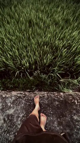 黄昏失约于天际我们错过一生只剩思念。 - Hoàng hôn lỡ hẹn chân trời, đôi ta lỡ hẹn một đời nhớ thương.#viral #xhh #fyp 