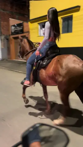 #cavalo #fyp 