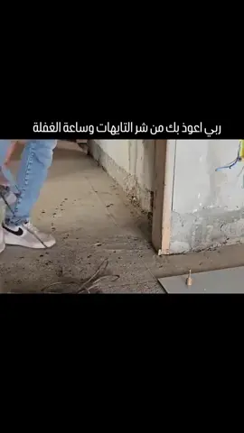 #ارافل_العراق #تار_الموصل #حمام_زاجل #البصراوي #طيور_الونسه🦅 