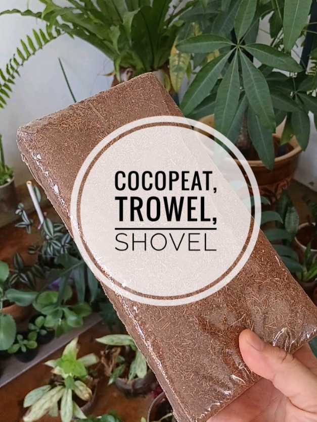 #cocopeat #trowel #shovel #gengkebun #bunga 