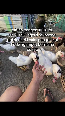 sabar😊#TEGALANFARM 
