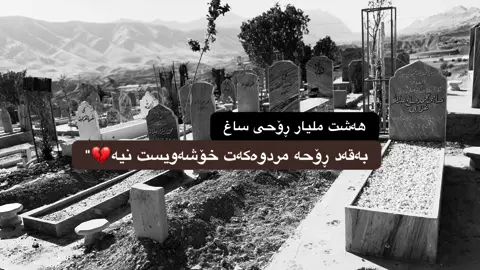 #foryou #fyp #viral #cupcut #hawler_slemani_dhok_karkuk_hallabja 