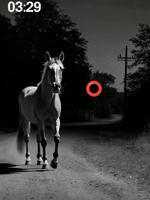 CCTV at 3:29 AM – Horse Caught Clapping Like a Human! #CCTV #ScaryFootage #CreepyHorse #NightVision #caughtoncamera 