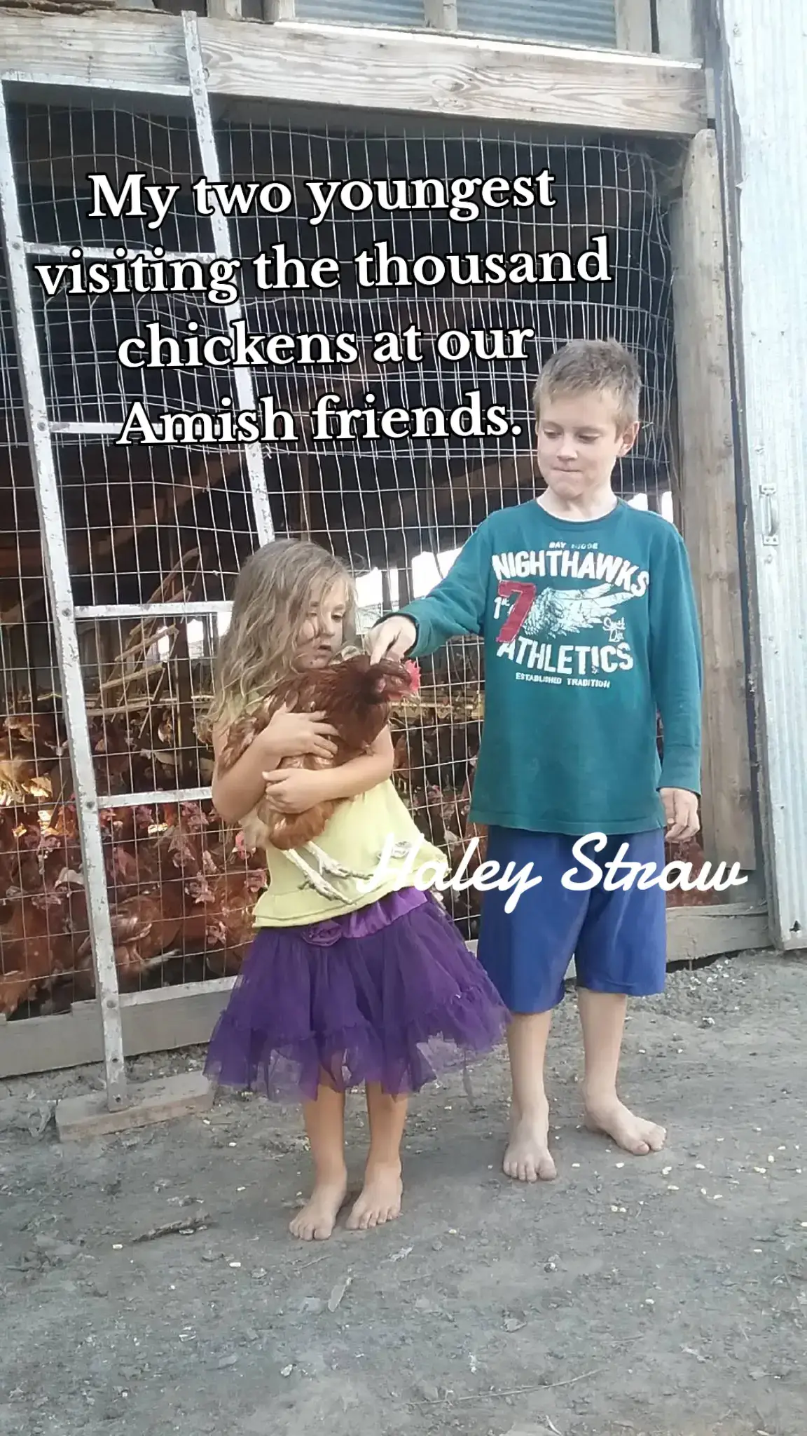 #amishtaxi #culturalinsights #75CentsPerMile #farmlife #simplelife  https://www.haleystraw.com/
