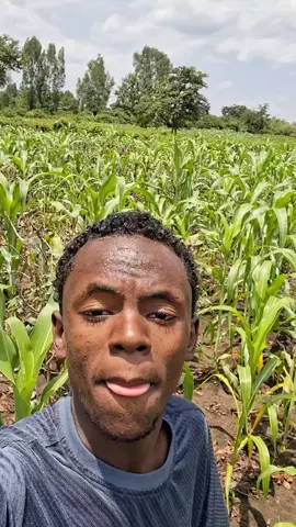 Gara Mowluda 🤣🤣🤣🤣🤣🤣🤣🤣