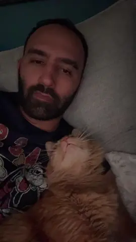 Kermit gives the best kisses #catdad #cats #catsoftiktok 