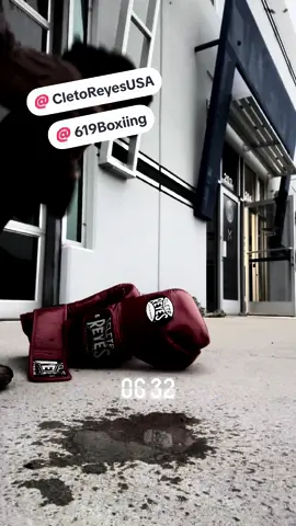 No boxing No life 💙 #police #policia #mindset #strong #mindsetmatters 