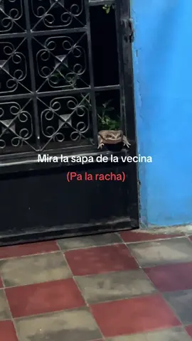 😂