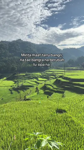 😴 #torajamakale #enrekang #mamasa #luwu #fyp 