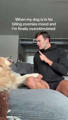 morning ritual #goldenretrieverlife #goldenretrieverpuppy #antm #tyrabanks #puppy 