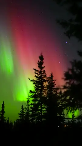 99.9% of people have never seen the aurora…