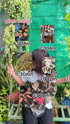 ត្រៀមខ្លួនរួចជាស្រេច