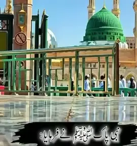 NABI KAREEM (SAW) NE FAMAYA