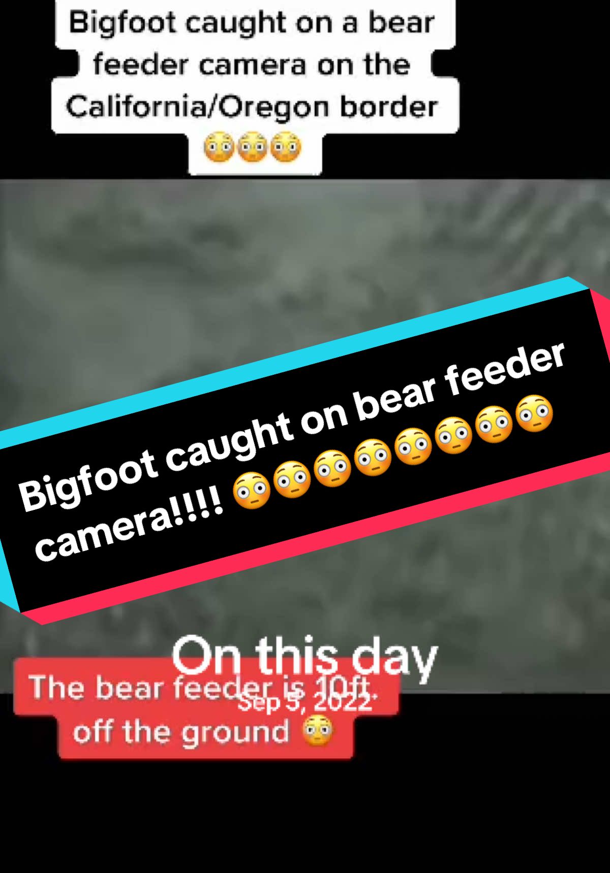 😳#bigfoot #bigfootisreal #wtf #unknown #omg #fyp #trailcam #cryptid #paranormal #scary #what #spookyseason #spooky #😳 #creepy #halloween #weird #?? #look #strangerthings4 
