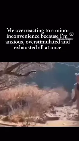 Overstimulated, anxious and exhausted don’t go well together #overstimulated #exhausted #anxious #overstimulatedmom #reality 