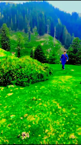 On the way towards Muro Meadows 
