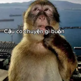 Đẻ thêm content #rizz #fyp #viral #xhhhhhhhhhhhhhhhhhhhhhhh #xh 