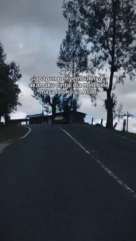#CapCut 