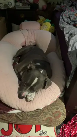 Pretty morning sleepy girl
