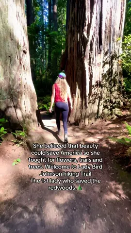 Lady bird Johnson was the 1st lady to save the redwoods, this beautiful easy 1.4 miles was dedicated to her.  This hidden gem is filled with giant trees, lush ferns that are waist high, with a great bridge and trail that is easy accessible for ADA or kid friendly strollers. Such a fun family friendly hike.  #explore #Hiking #travel #redwoods #fyp 