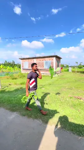 পিওর দেশি কই মাছ রেসিপি #cooking #shorts #tiktok #village #fishing 