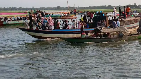 চলনবিলের ভাইরাল ভিডিও 