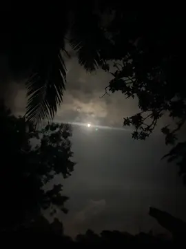 চাঁদের সৌন্দর্যের গভীরতা বয়েছে। যা সব হৃদয়কে স্পর্শ করে..!😌🤍#moon #chand #foryoupage #viralvideo #foryou #foryouuuuuuuuuuuuuuuuuuuuuuuuu #lyrics #view 