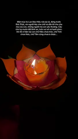 #vulanbaohieu 