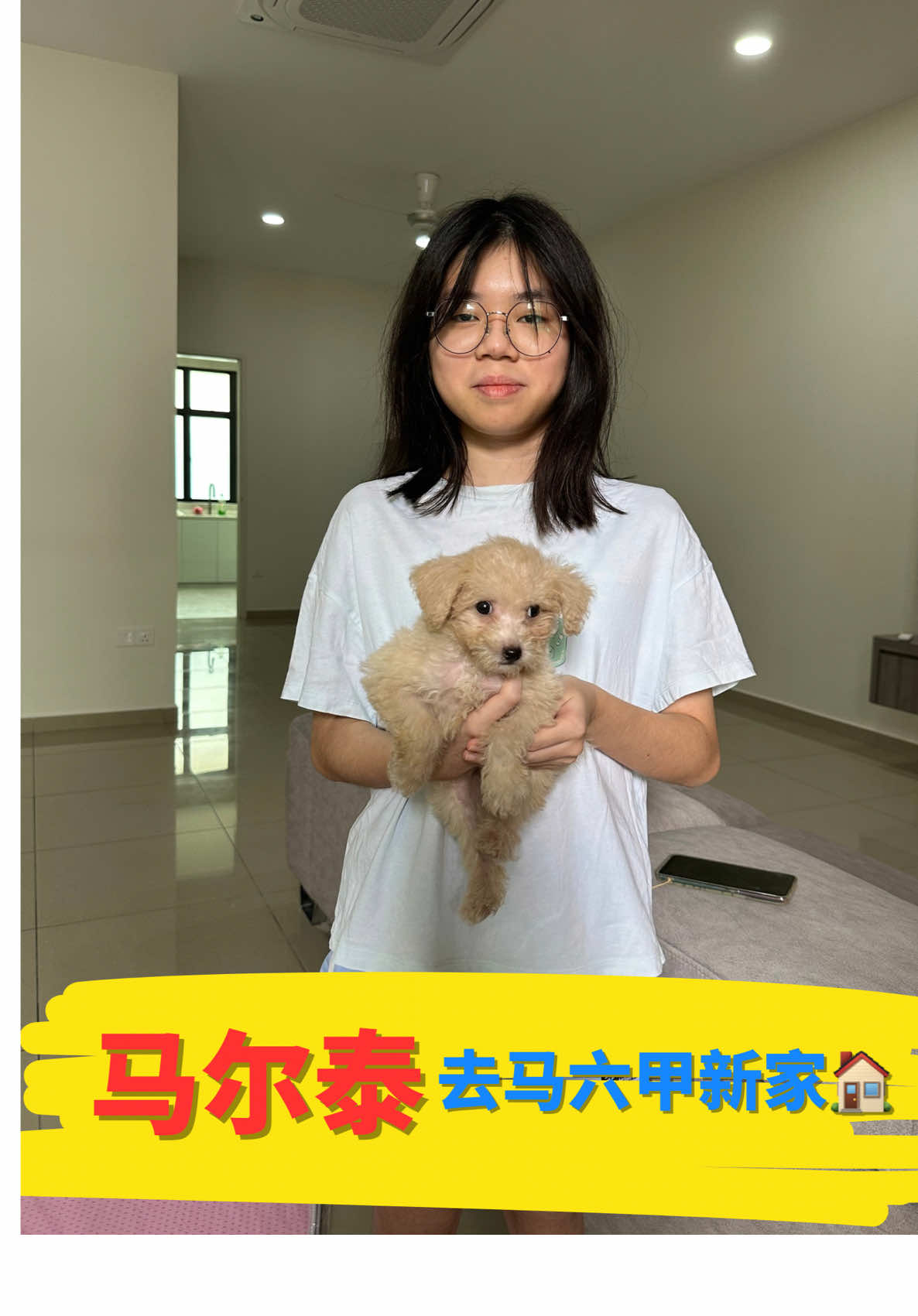 🇲🇾🇸🇬马尔泰的新旅程，马六甲❗️ 今天，我们可爱的马尔泰宝宝踏上了去马六甲的新旅程。从第一次对视到今天启程，每一步都满是温馨与不舍。希望它在新家能继续被温柔呵护，带来无数欢笑与陪伴。❤️🐶 祝福小可爱，新生活快乐成长！ #马来西亚宠物 #马来西亚宠物店 #宠物店 