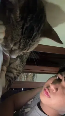 JAM 5 JAM 5 JAM 5 #cat #catsoftiktok #fyp #foryou #komedi 