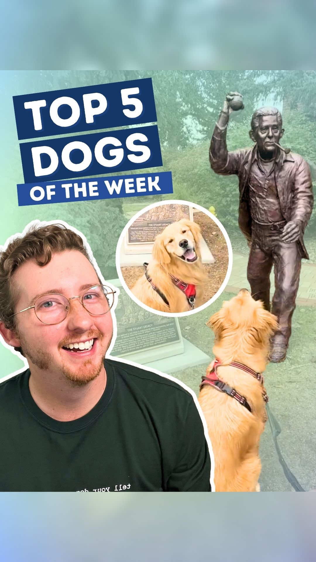 Top 5 Dogs of the Week! 5. @jonesythelab  4. @Two Golden Leos 🐾  3. @heyjudethebeagle  2. IG: charleyr90 & tuxedosandtoebeans H.M. @NoBull ❌  1. @BBC News  #weratedogs