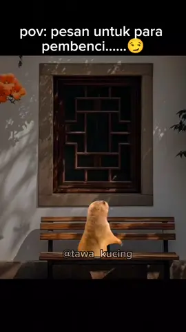 kirim ke para pembenci #memekucing #kucinglucu #comedy #fypシ゚viral 