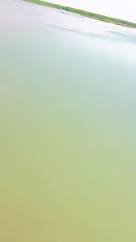@🦅🥀لاتک🥀🦅 @❣️الاکیف جانی❤️ 
