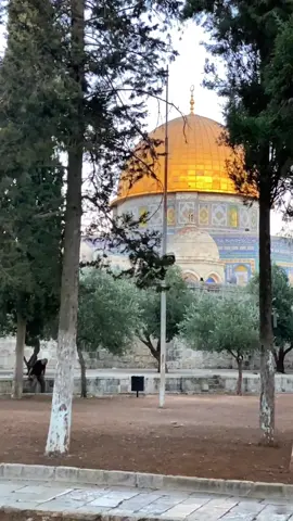 #القدس #CapCut #كفركنا 