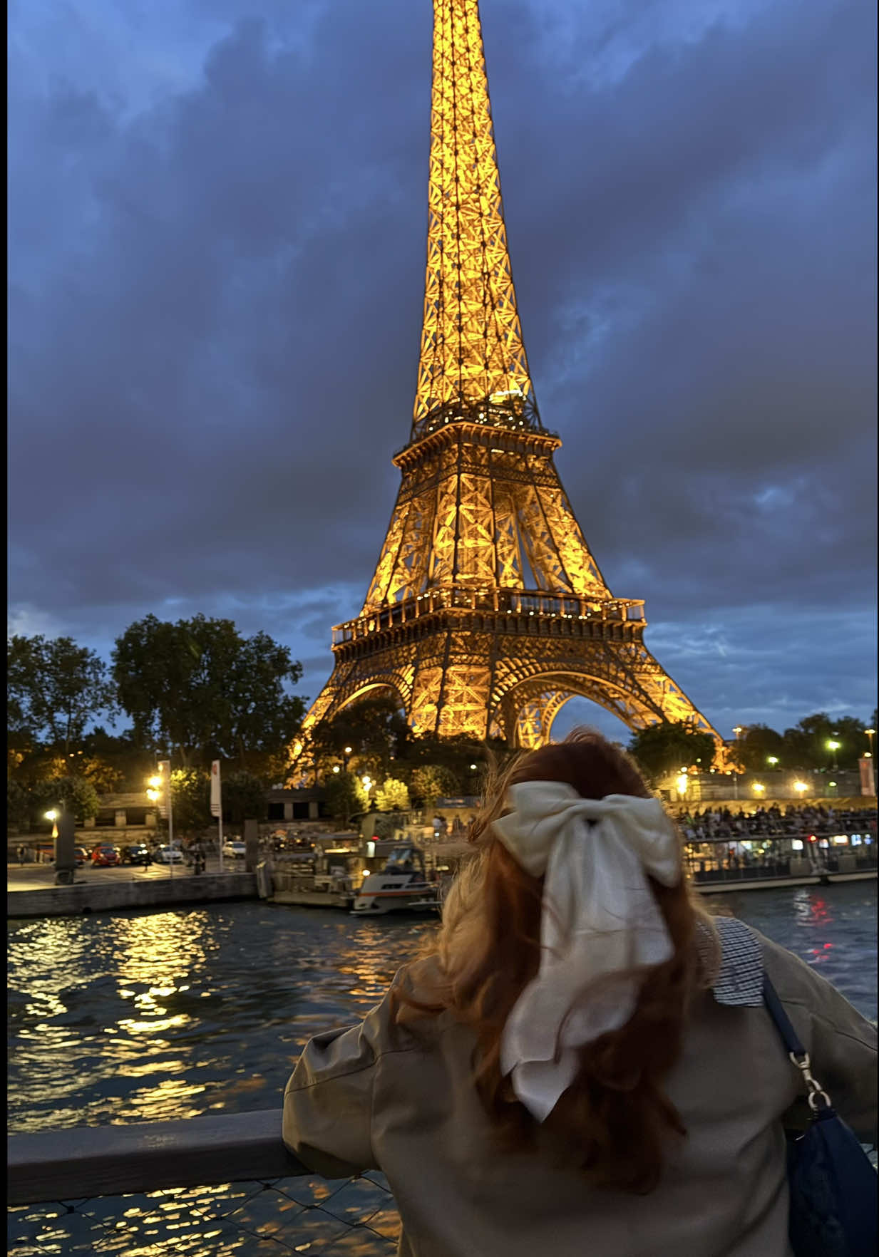 the most magical view on the seine river cruise last night 🤎 #eiffeltower #seineriver #paris #fyp #france 