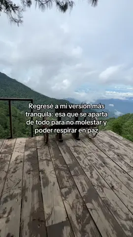Regresé a mi versión más tranquila: esa que se aparta de todo para no molestar y poder respirar en paz