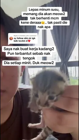 Replying to @Ashikin_24 saya 1st jadi bapa kucing. Xreti😭😭