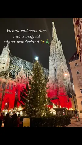 Counting down the months until Vienna transforms into a Christmas fairytale 🎅🏼✨ #Vienna #ChristmasVibes #traveltiktok #austria #winterwonderland 
