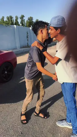 نوووووورت 