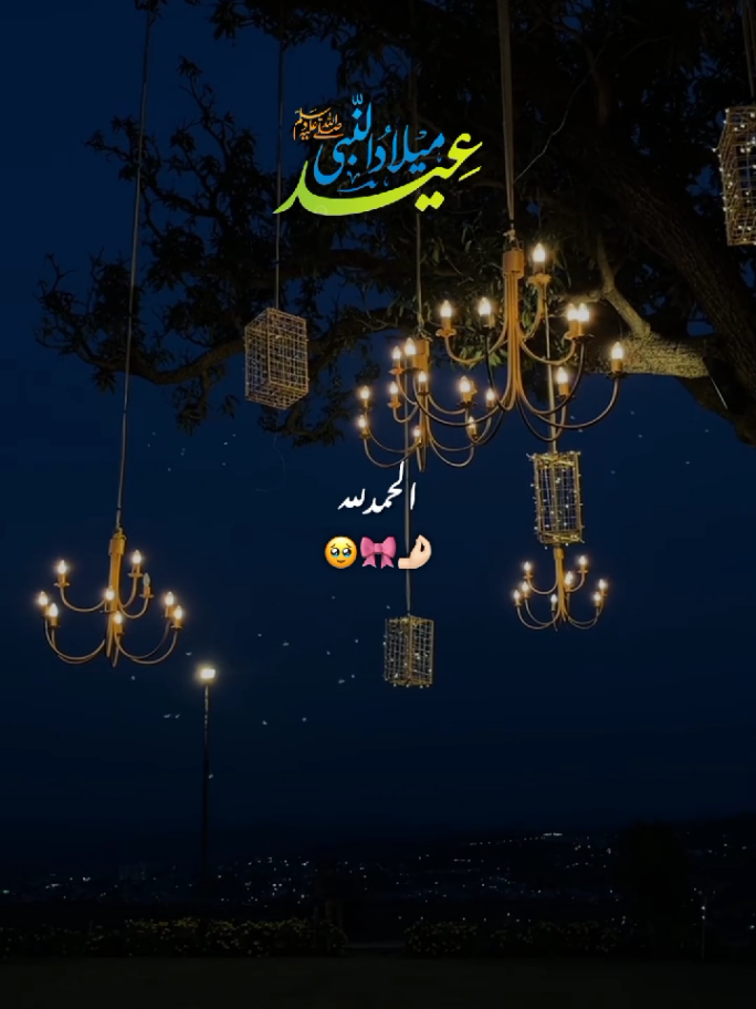 Eid Milad Un Nabi Mubarak 🌙💗🤲🏻 || 12 Rabi Ul Awal 🌙💓🎀 || Jashn e Eid Milad Un Nabi 💞 || New Status Video ✨ #eidmiladunnabi #12rabiullawal #statusvideo #fyp #creatorsearchinsights 