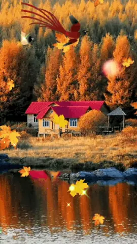 #6сентября #суббота #доброеутро #хорошегодня #красивыепесни 