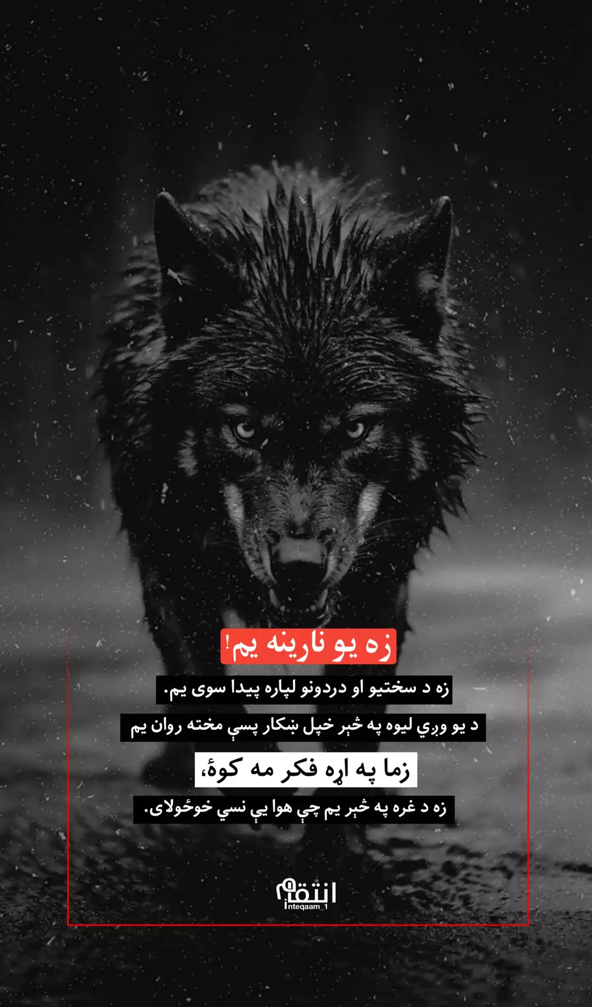 #islam #afghanistan🇦🇫 #inteqaam 