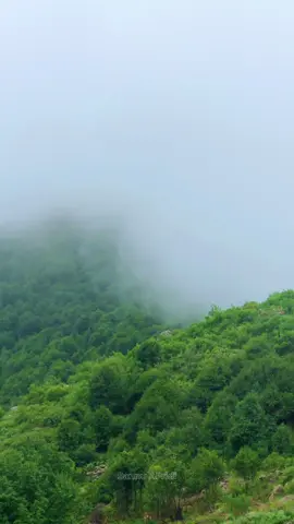 Landawar top tirah valley  : #viralvideo #growaccount #tirahvalley #1milionviews #dontunderreviewmyvideo 