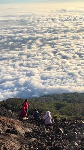 Tunjukkan lautan awanmu 😍#lautanawan #atapjawatengah #gunungslamet #fyp #pendakiindonesia 