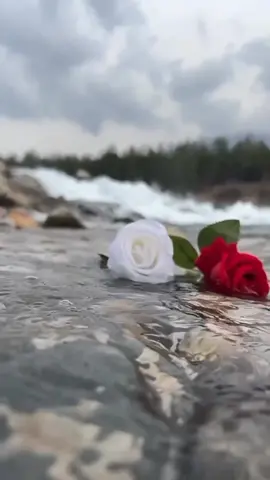 #😇😇😇😇 